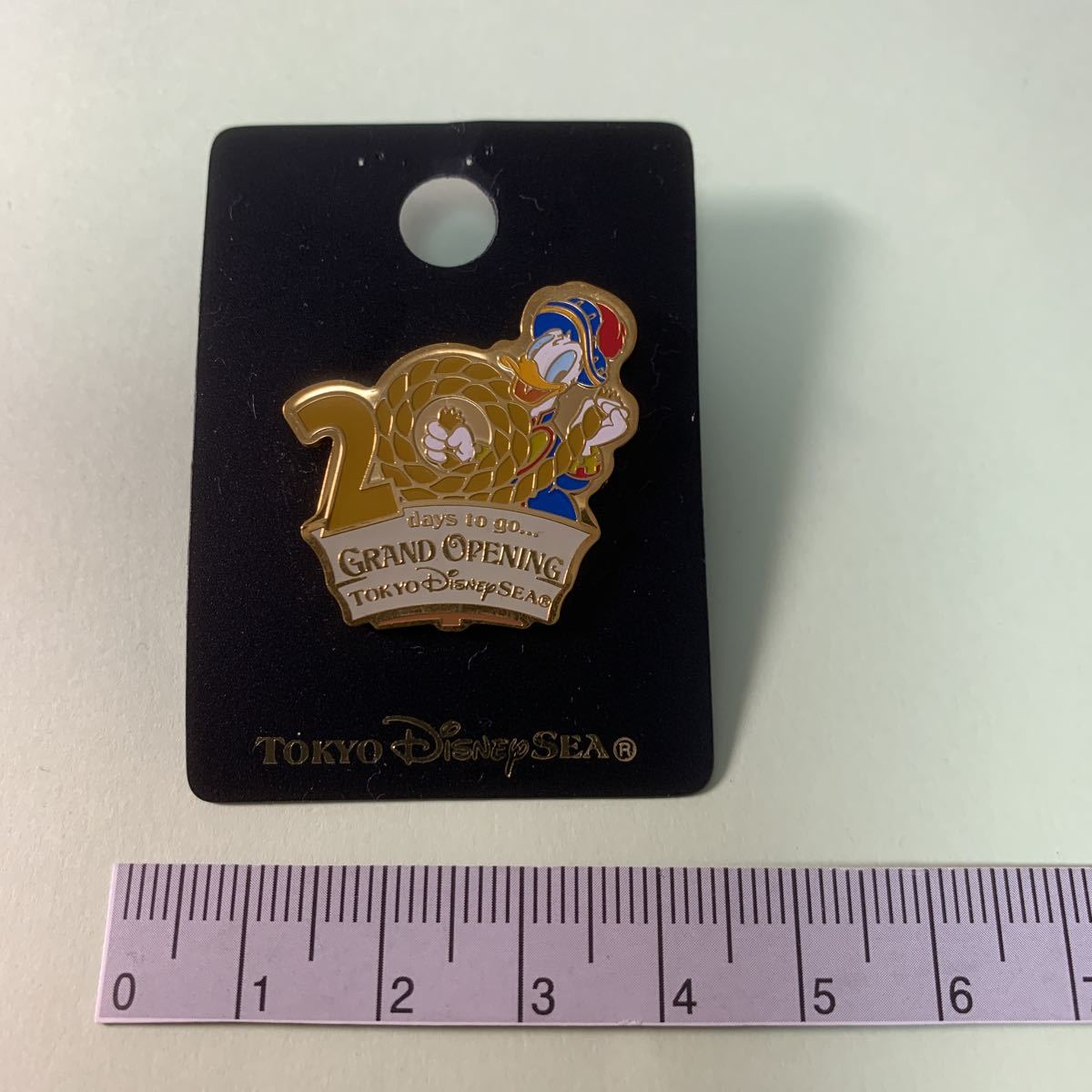  Disney si- Grand open 20 day front pin badge pin bachi2001 year 