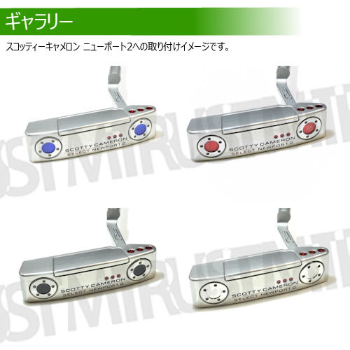 互換品 スコッティキャメロン専用 パターウェイト 単品 2個セット 10g シルバー ゴルフ用品 Scotty Cameron カスタム コンペ 景品 グッズ_画像10