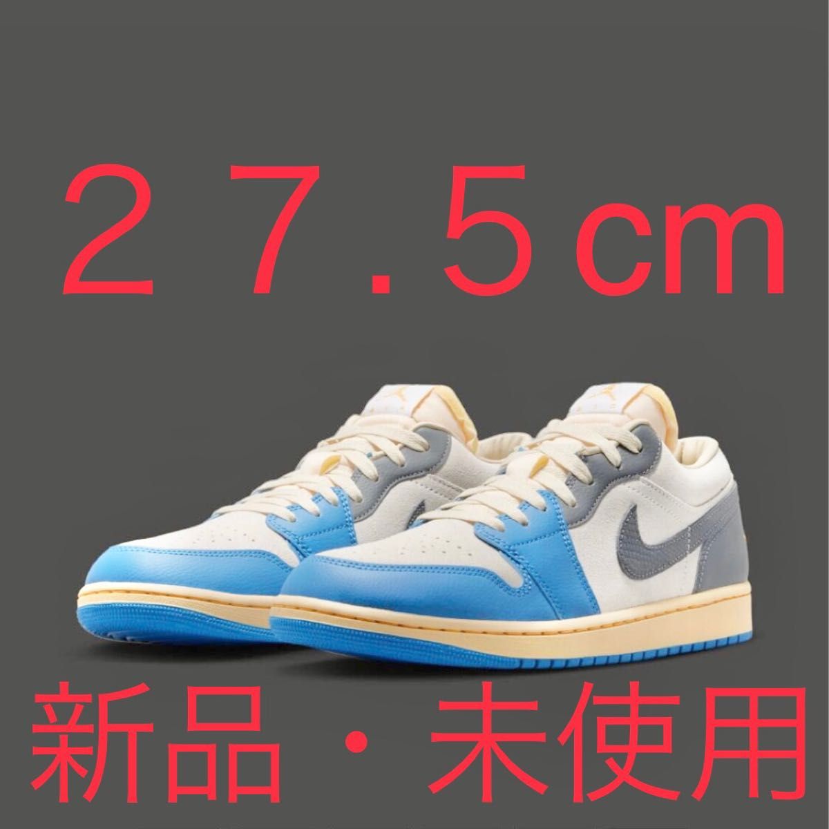 NIKE SB × AIR JORDAN 1 LOW 27.5 | www.schmetterlinghaus.at