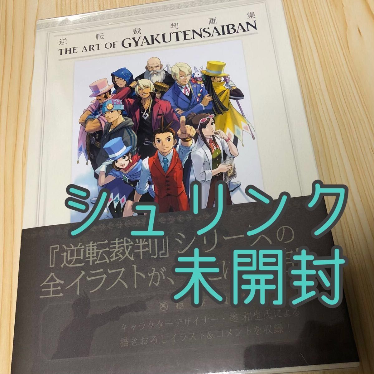 逆転裁判 画集 2冊組 キャラクターデザイン 塗和也 未開封 逆転裁判 画集 2冊組 キャラクターデザイン 塗和也 未開封