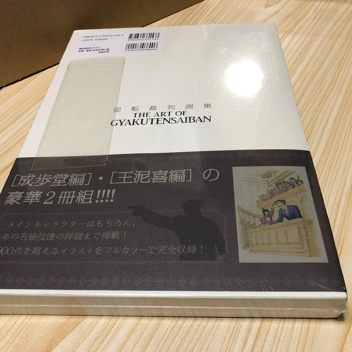逆転裁判 画集 2冊組 キャラクターデザイン 塗和也 未開封 逆転裁判 画集 2冊組 キャラクターデザイン 塗和也 未開封