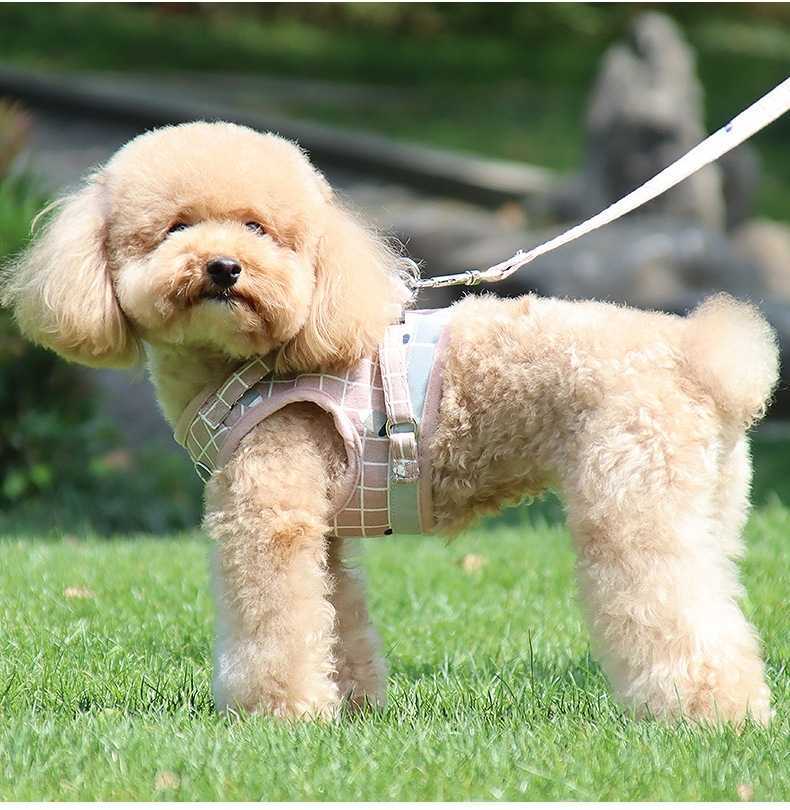 ペット 犬 服 ドッグ メッシュ ハーネス リード蛍光タイプ ピンク Ｍサイズ_画像5