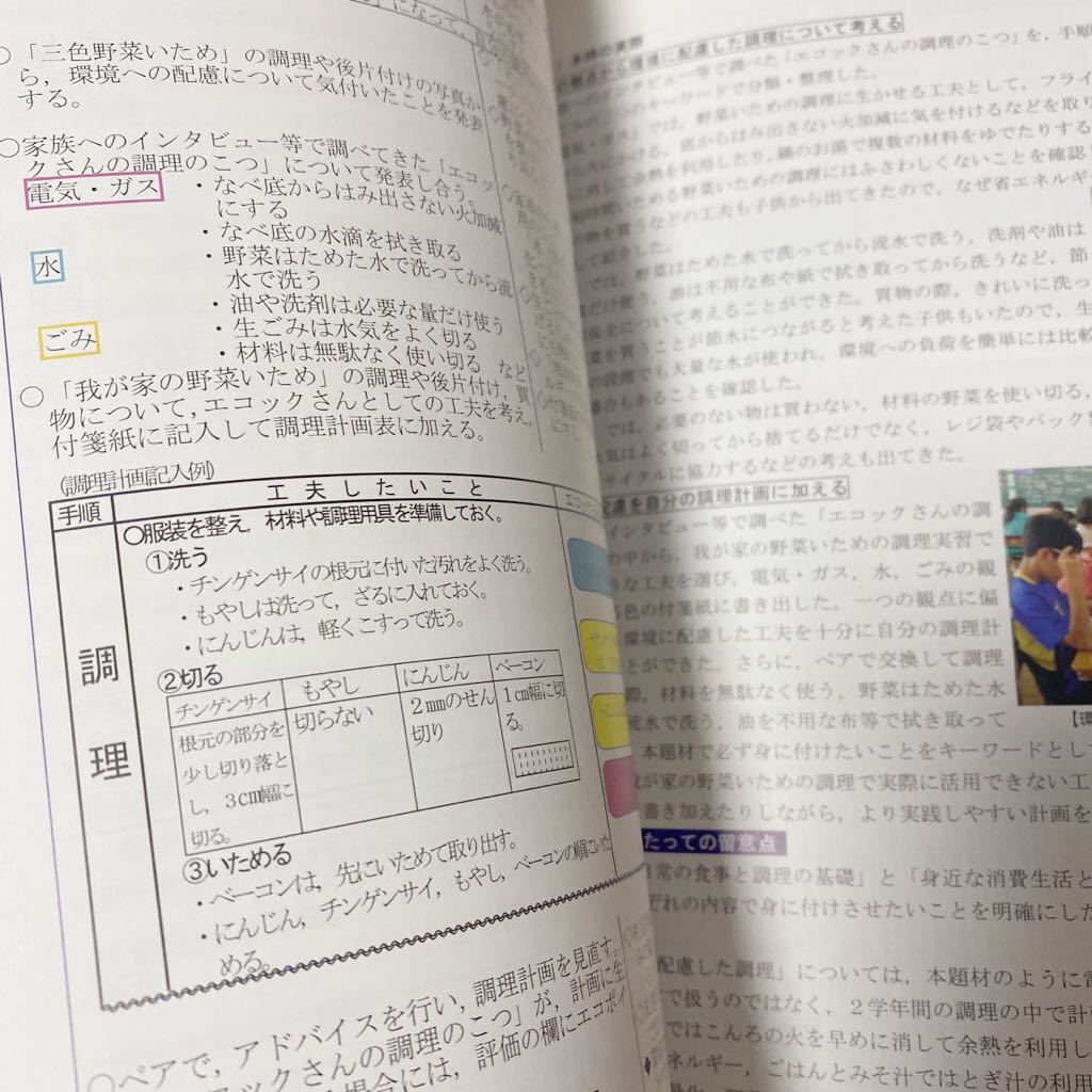 環境教育指導資料【幼稚園・小学校編】 単行本 2014/11/11 国立教育政策研究所教育課程研究センター (著)_画像5