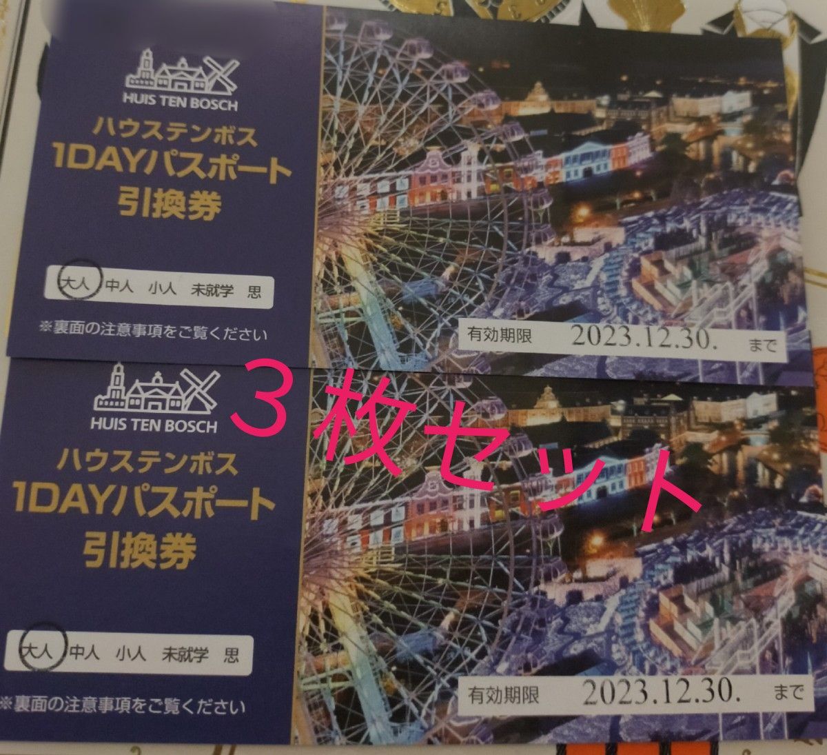 おしゃれ】 ハウステンボス 1DAYパスポート引換券 大人2枚 i9tmg.com.br