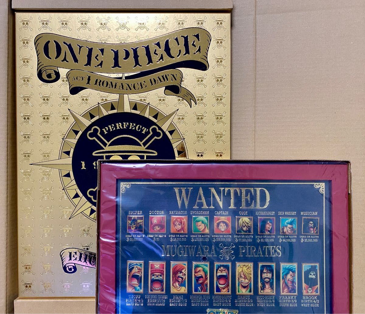 日/祝も発送 【希少】ONE PIECE 複製原画 ピンバッジ | www.aosfiji.org