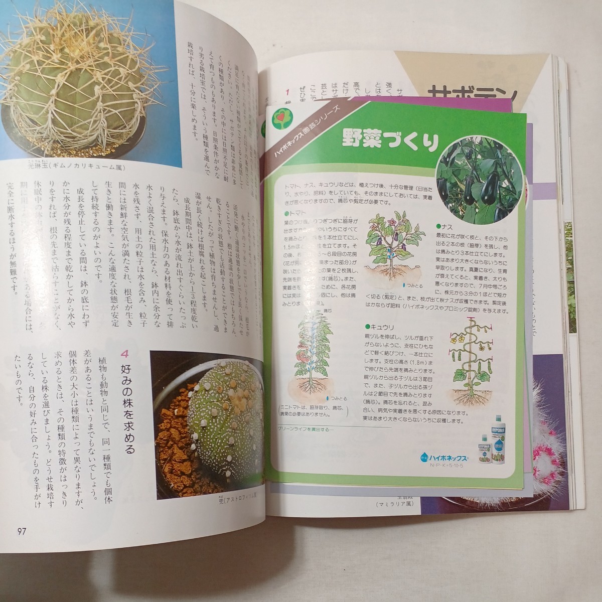 zaa-427♪別冊NHK趣味の園芸 これだけは知っておきたい園芸の知識　 日本放送出版協会 （1984/05発売）_画像7