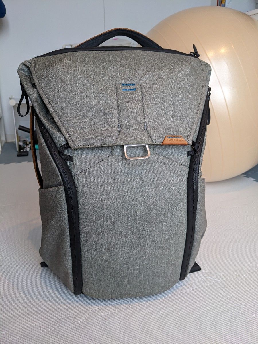 (土日値下) ピークデザインエブリデイバックパック v1 Peak Design everyday backpack V1 30Ｌ