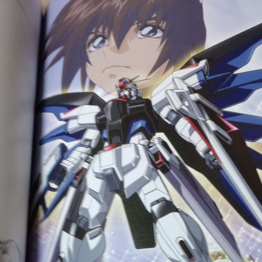 平井久司 イラスト集 第2弾 蒼穹のファフナー ガンダムSEED 画集 平井久司 イラスト集 第2弾 蒼穹のファフナー ガンダムSEED 画集