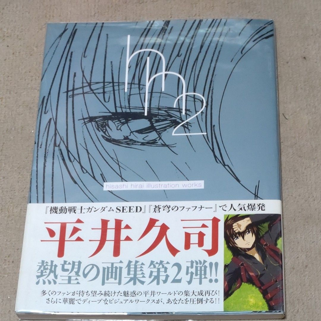 平井久司 イラスト集 第2弾 蒼穹のファフナー ガンダムSEED 画集 平井久司 イラスト集 第2弾 蒼穹のファフナー ガンダムSEED 画集