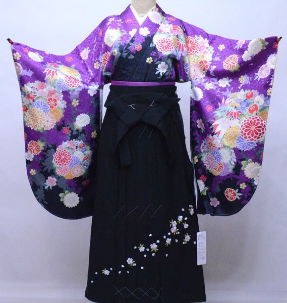 特別送料無料!】 A-STYLE 絵羽柄 144cm~150cm ジュニア用へ直し 袴