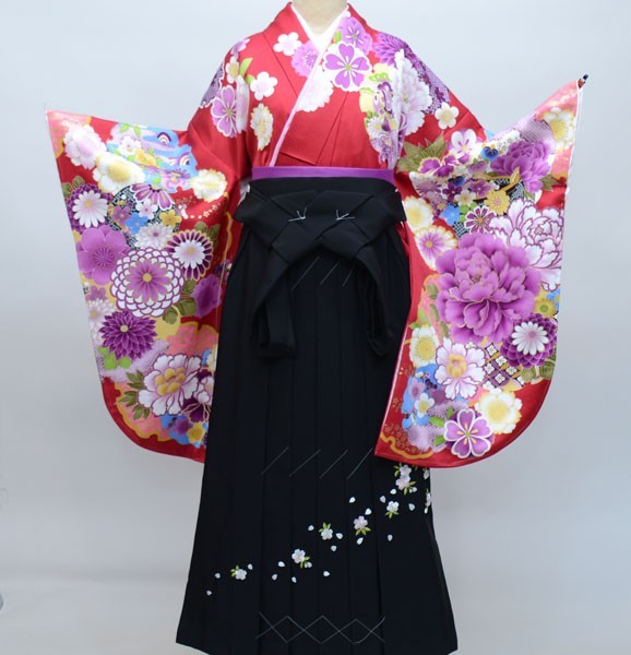  кимоно hakama комплект Junior для . исправление 144cm~150cm From KYOTO новый товар ( АО ) дешево рисовое поле магазин NO26786-03