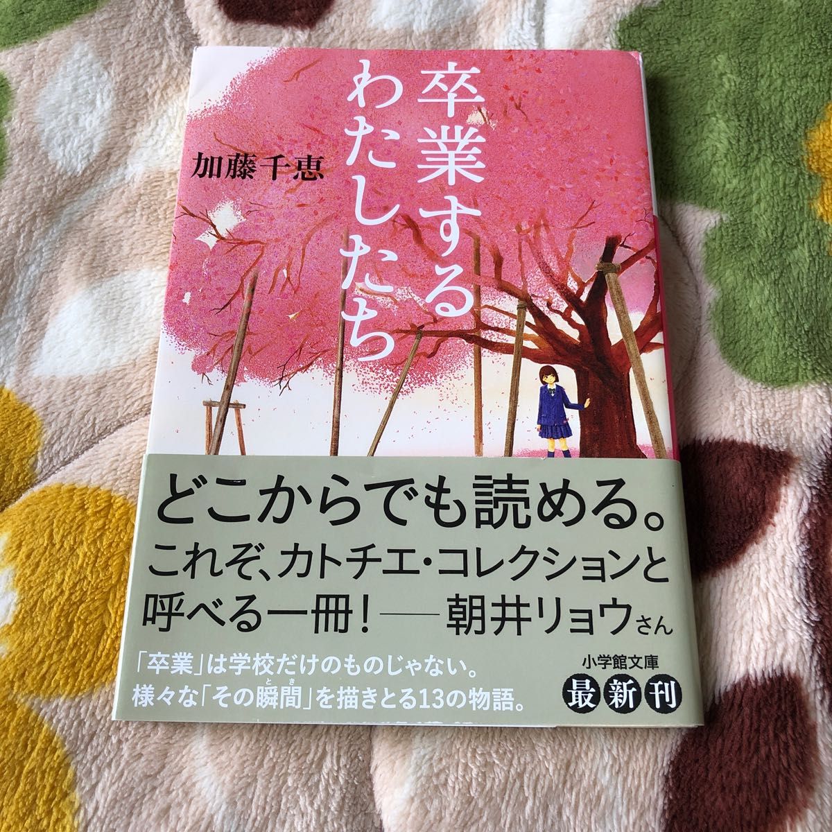 卒業するわたしたち （小学館文庫　か４２－１） 加藤千恵／著