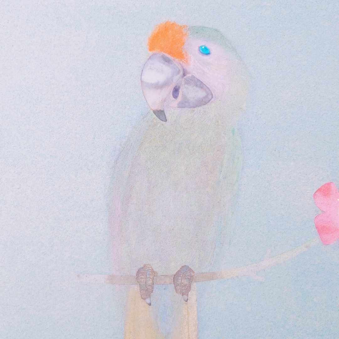 「【真作】入江酉一郎日本画10号『花と鳥』署名 落款 共シール 額装」飾って下さい！の画像4