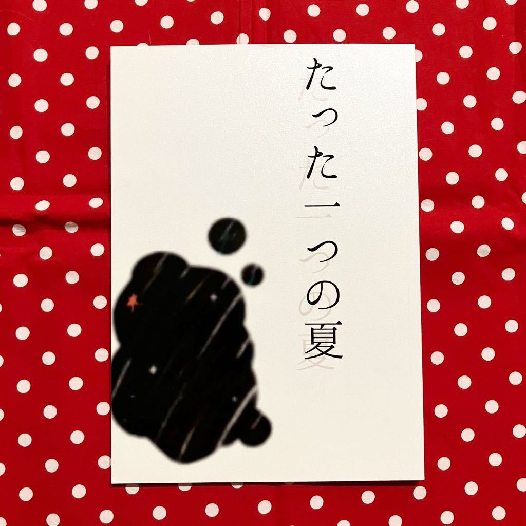 同人誌】ジャニーズWEST/ジャニスト/JW/桃赤/こたしげ/小瀧x重岡
