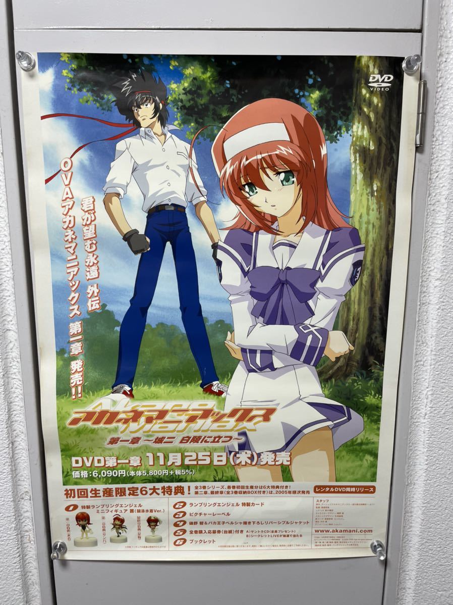 君が望む永遠 + Next Season + アカネマニアックス + あゆまゆ 君が望む永遠 + Next Season + アカネマニアックス + あゆまゆ