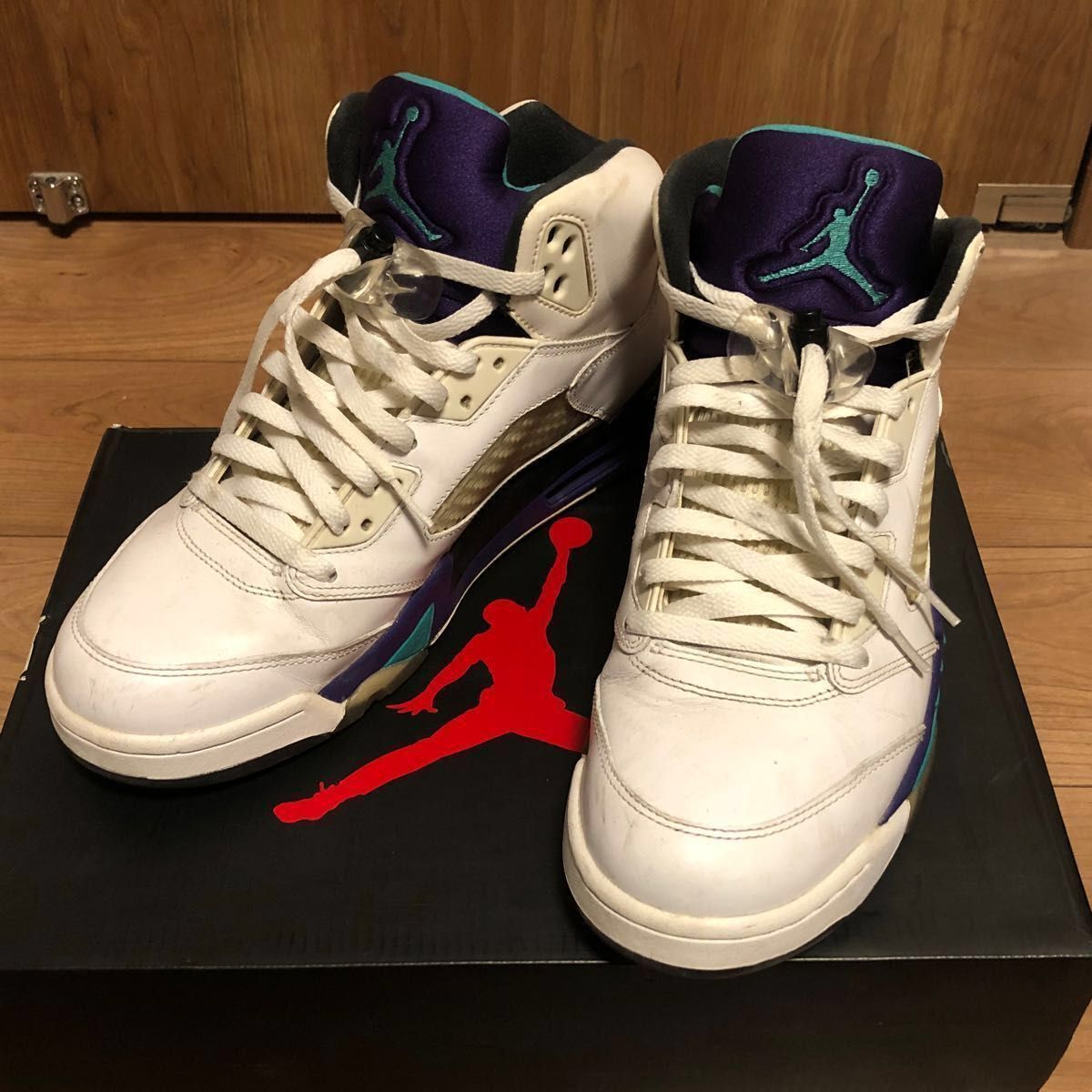 NIKE AIR JORDAN 5 RETRO GRAPE 136027-108 27.5cm【中古美品