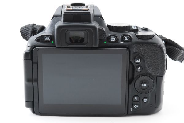 31923Y1 超美品 Nikon G DX AF-S D5500 55-200 Ⅱ 18-55 手振れダブル