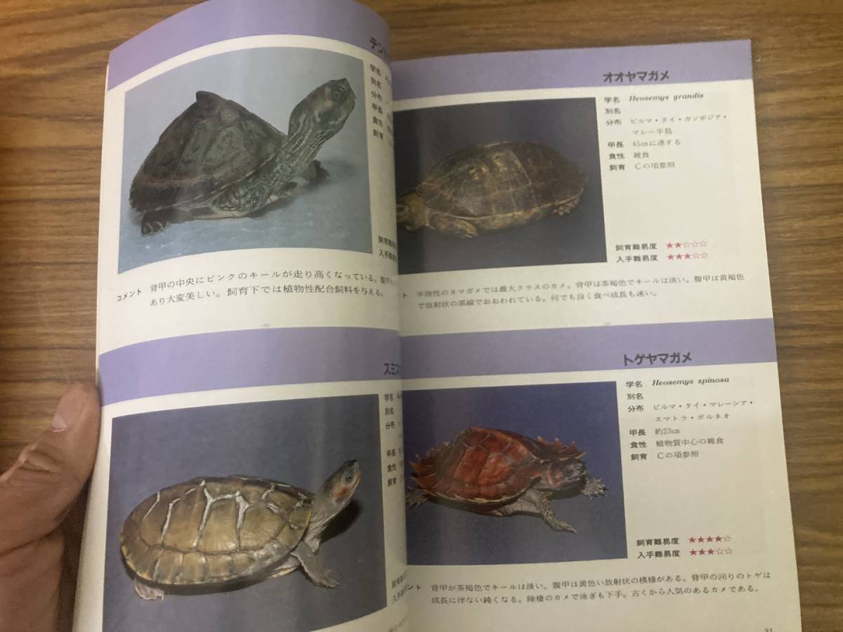  world. turtle DIGEST OF THE TURTLES Kato ./Z103