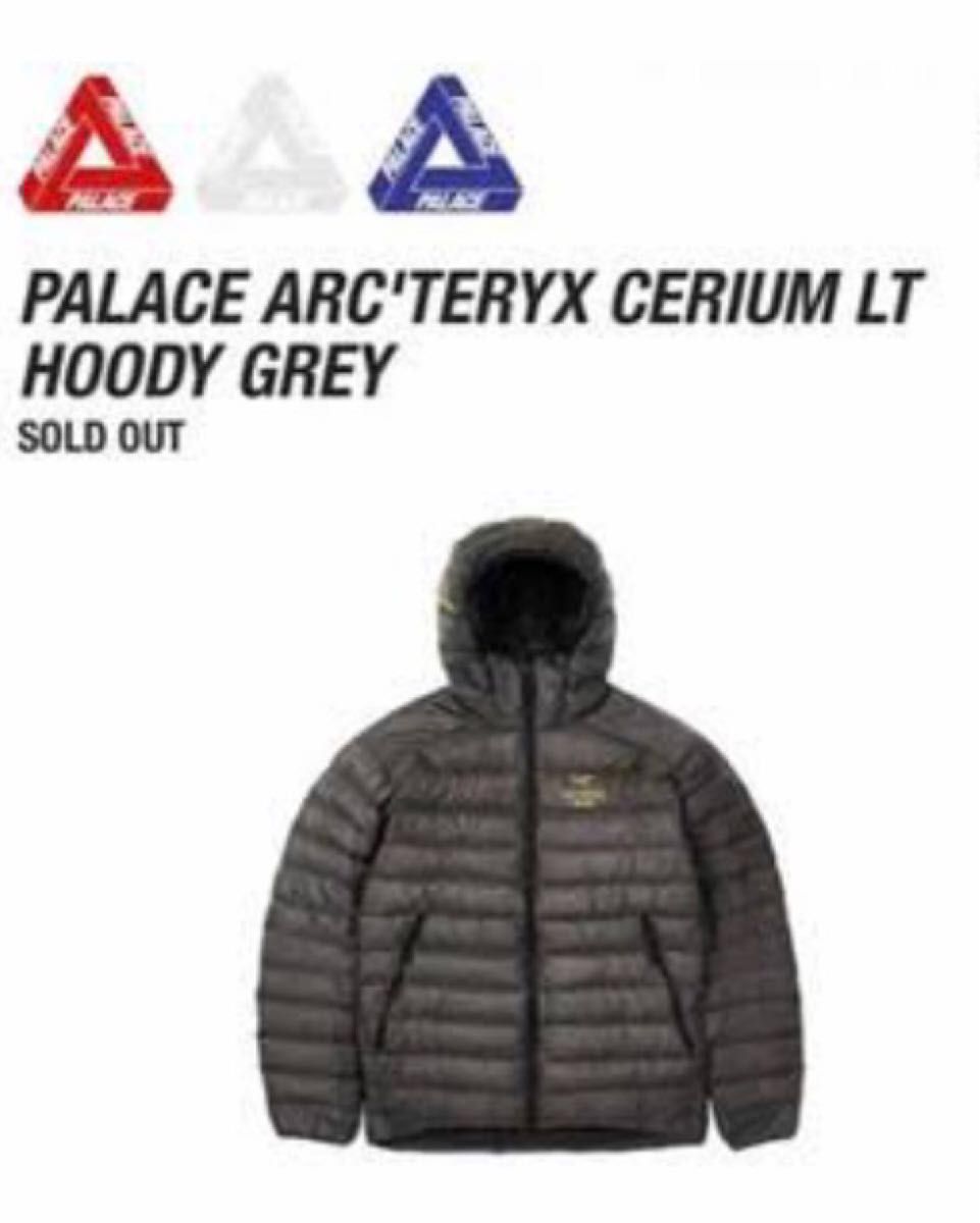 Palace Arc'teryx Cerium LT Hoodie パレス アークテリクス セリウム パラス