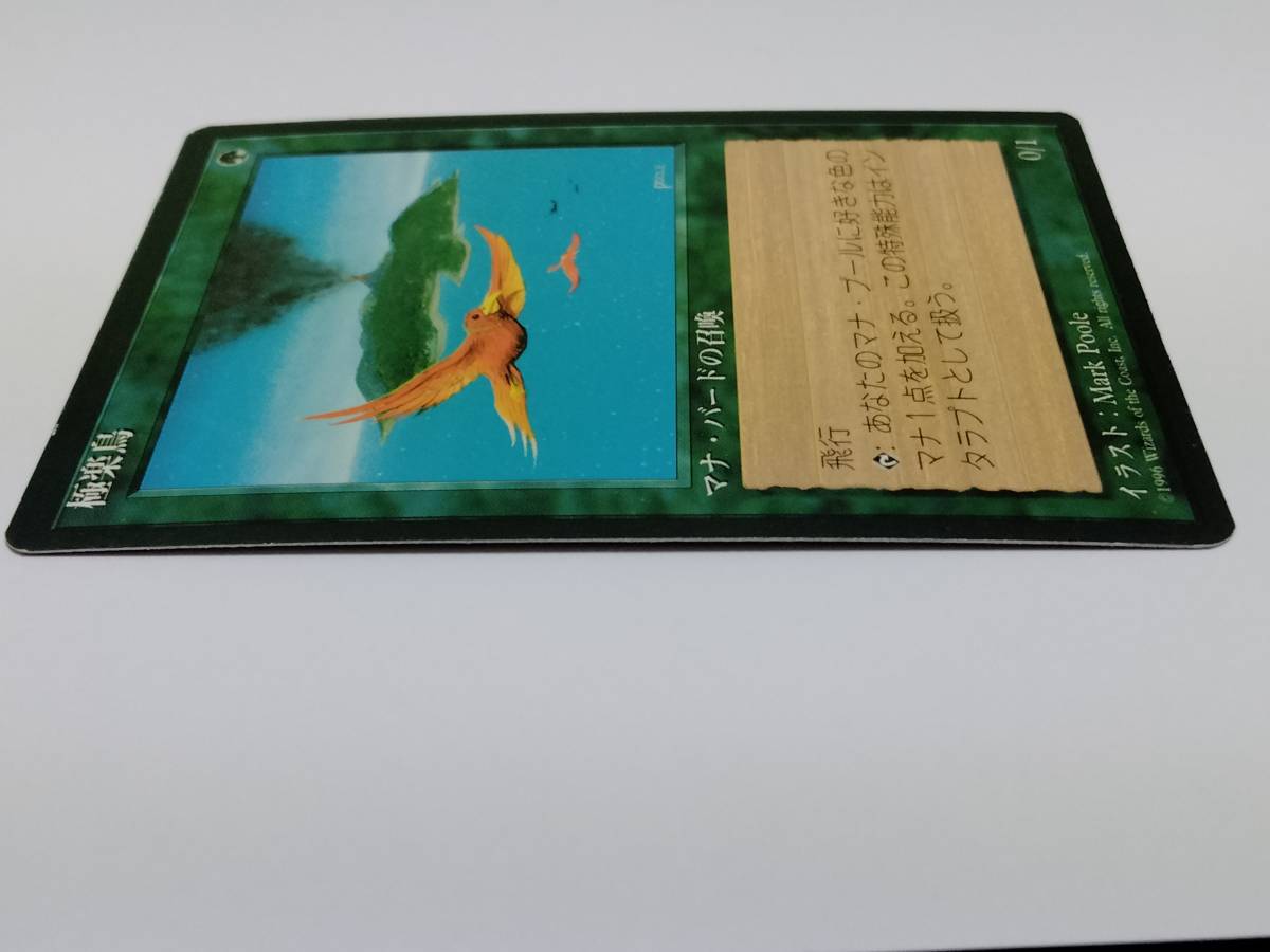 MTG 極楽鳥　第4版 　4ED　日本語黒枠_画像7