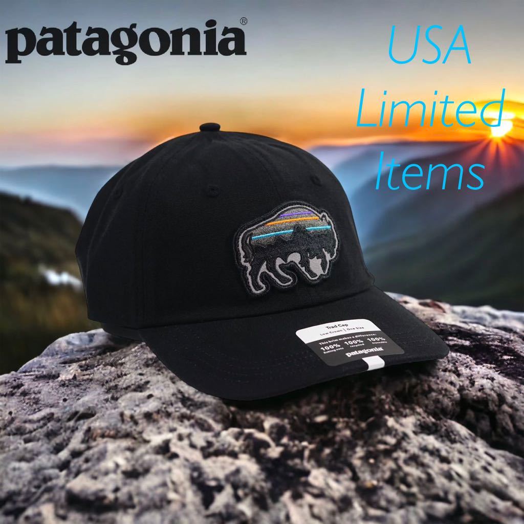 ◆日本未発売◆PATAGONIA 　BACK FOR GOOD TRAD CAP / パタゴニア　USA限定　グリーン　P-6 フィッツロイ　トラウト　 帽子　バッファロー
