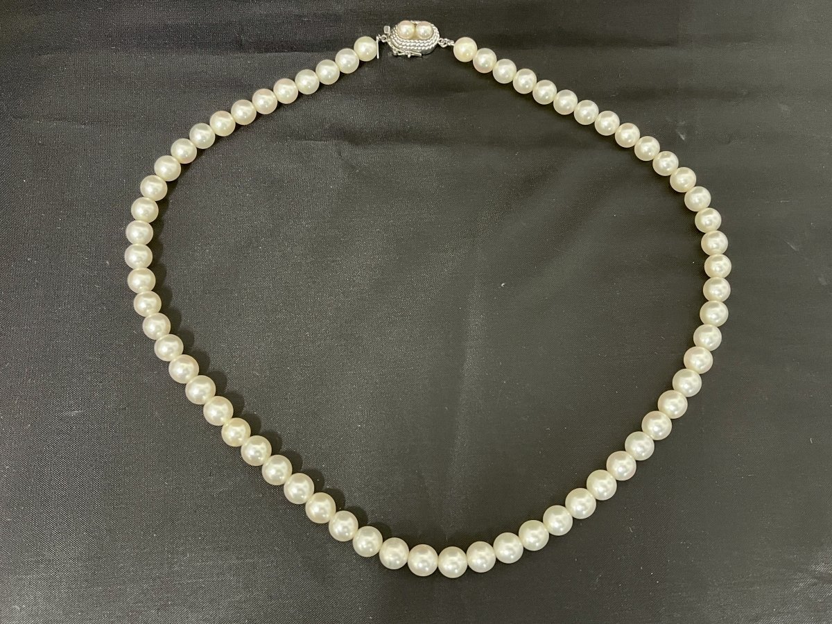 TASAKI田崎 真珠パールネックレス約7.5mm-