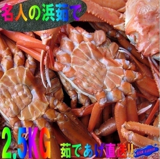 即納!! 名人の【浜茹で蟹AA-2.5kg】境港直送!! -6尾で2.5kg位-.「冷紅蟹A2.5kg」_画像1