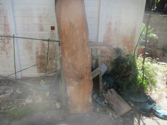 鹿児島　　屋久杉　未加工原木　一枚板　　自然乾燥　約２０年