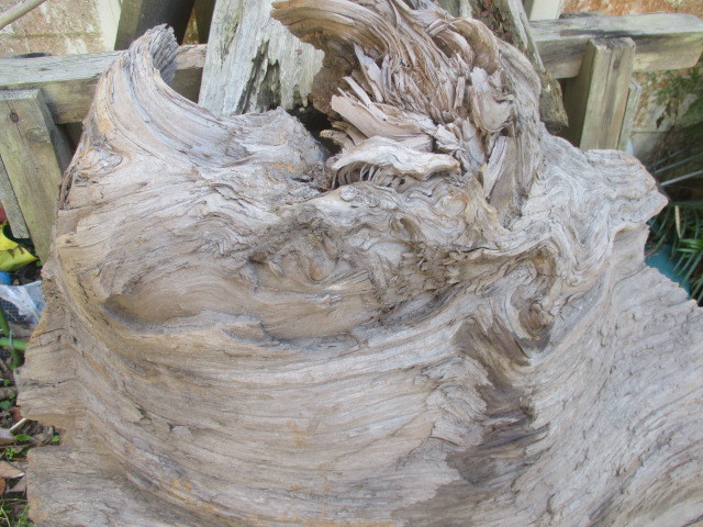 鹿児島 屋久杉原木 未加工 瘤付き板 自然乾燥 約２０年 - 工具、DIY用品