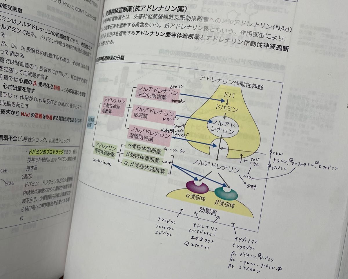 薬剤師国家試験対策参考書 青本+青問 全巻+第105〜107回既出 薬剤師国家試験対策参考書 青本+青問 全巻+第105〜107回既出