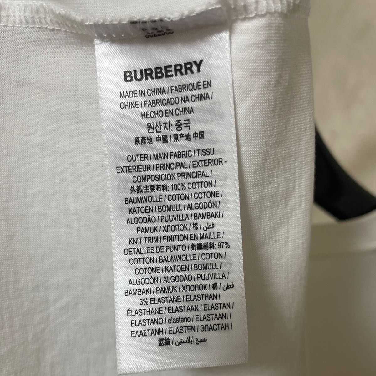 BURBERRY HESFORD Tシャツ | jlrecruitment.com.sg