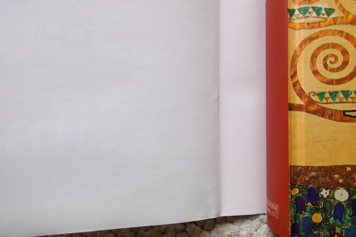 Klimt (Parkstone Press) 洋書ハードカバー クリムト☆_画像4