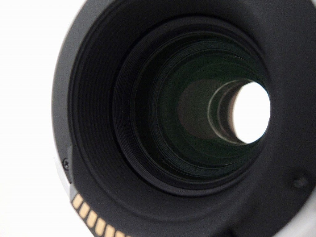 期間限定セール シグマ SIGMA Canon キャノン EFマウント レンズ APO