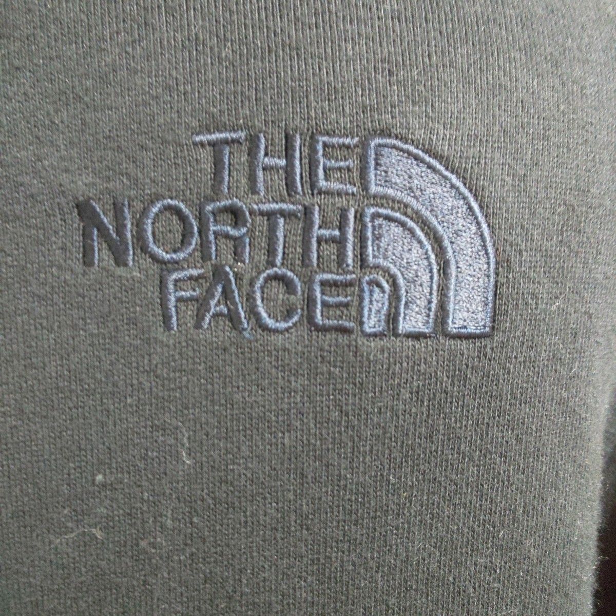 希少】THE NORTH FACE リアビュー フルジップ ジップパーカー ザノース