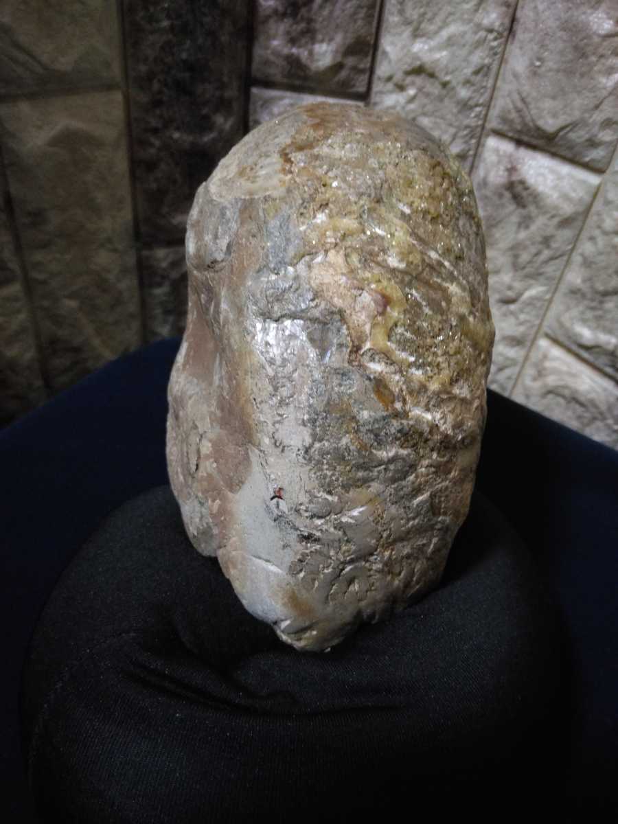 Anne mo Night fossil pedestal attaching. Hokkaido production mineral specimen domestic production mineral 