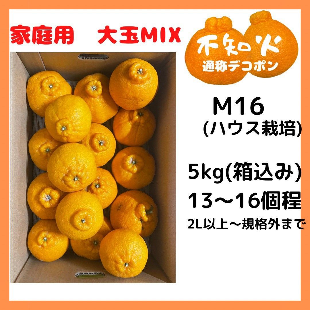 限定1箱 不知火 家庭用 M16 大玉MIX5kg(デコポン)|Yahoo!フリマ 限定1箱 不知火 家庭用 M16 大玉MIX5kg(デコポン)|Yahoo!フリマ