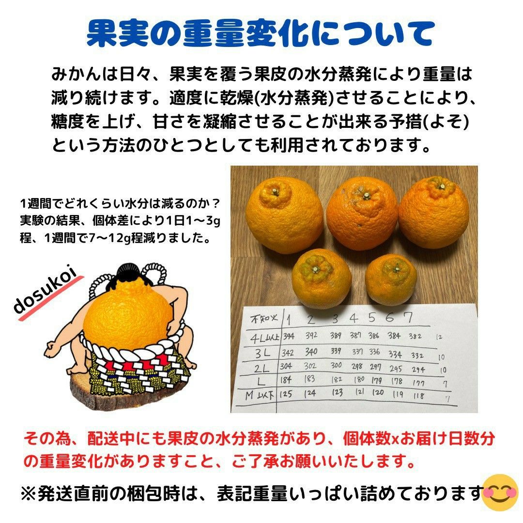 限定1箱 不知火 家庭用 M16 大玉MIX5kg(デコポン)|Yahoo!フリマ 限定1箱 不知火 家庭用 M16 大玉MIX5kg(デコポン)|Yahoo!フリマ
