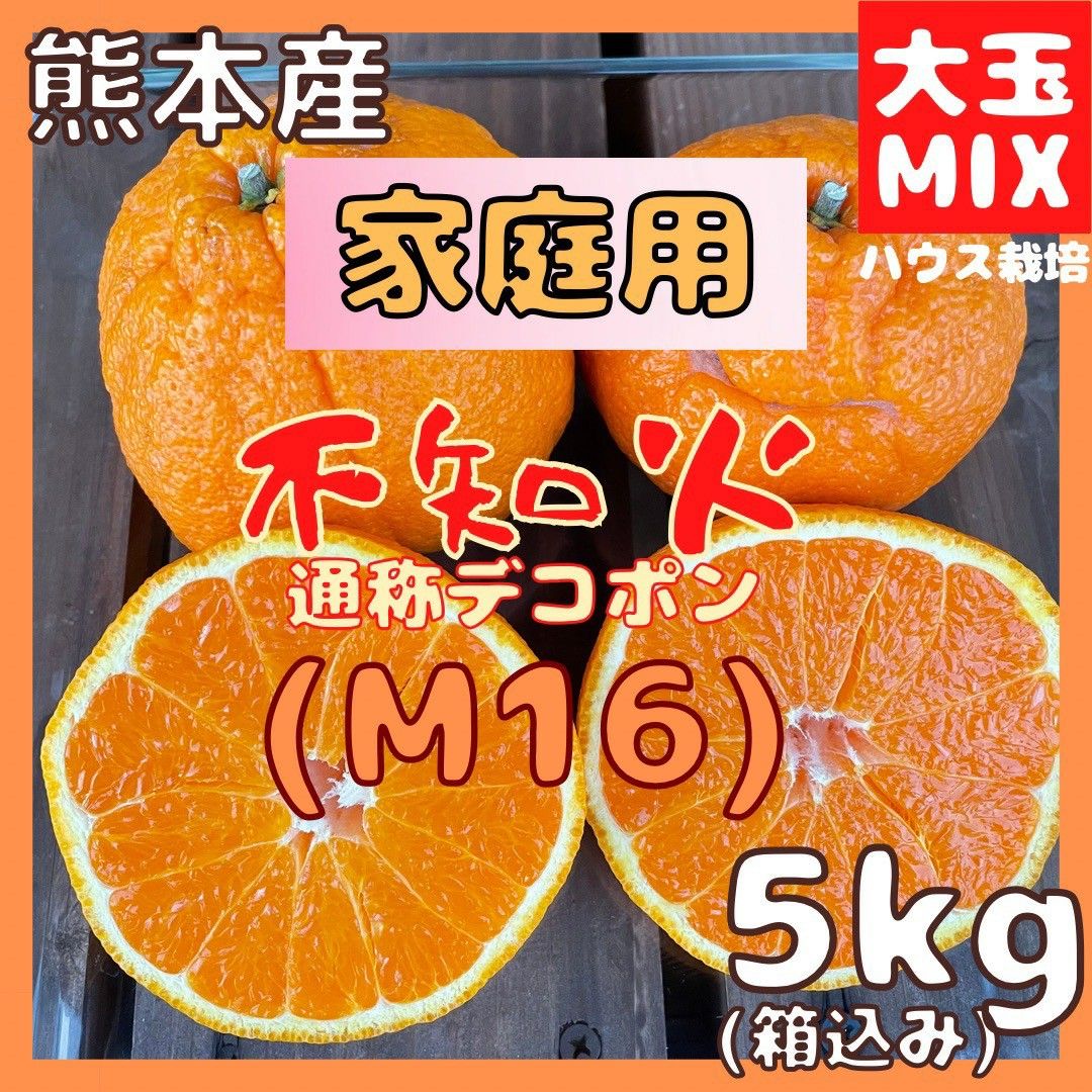 限定1箱 不知火 家庭用 M16 大玉MIX5kg(デコポン)｜PayPayフリマ