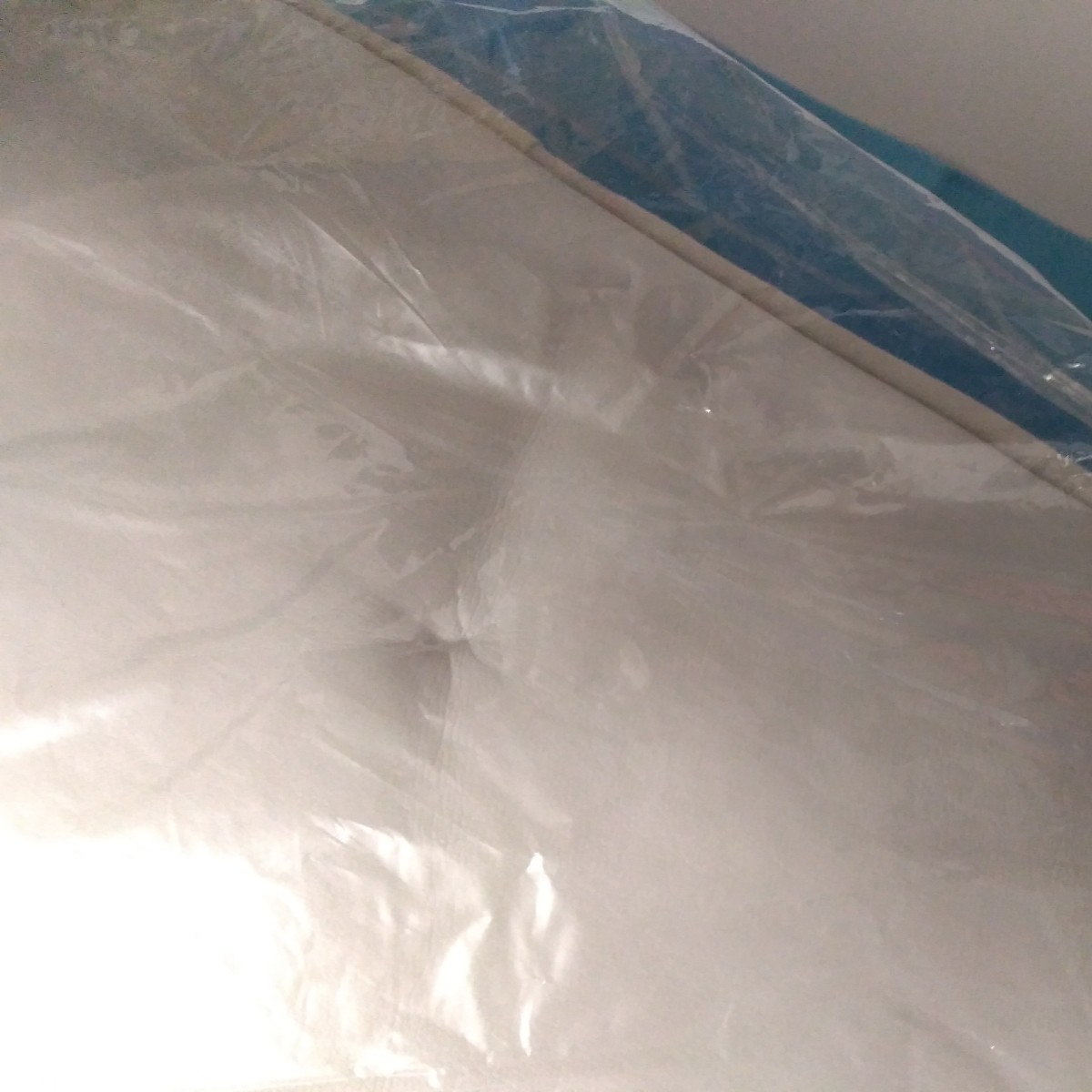  Evangelion подушка Ayanami Rei не использовался товар винил пакет . боль * задняя поверхность . давление . след есть 40×40cm