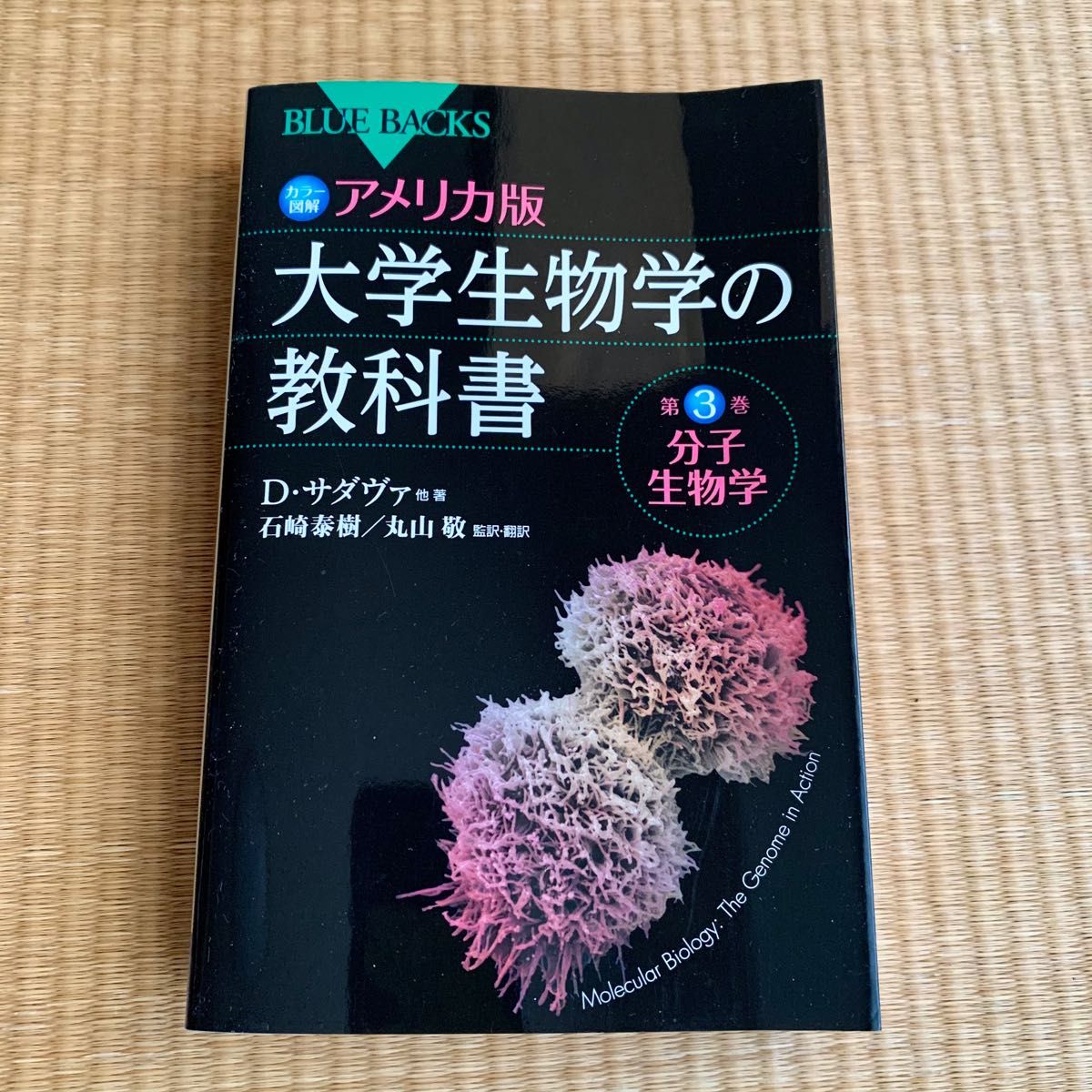 カラー図解アメリカ版大学生物学の教科書　第3巻分子生物学