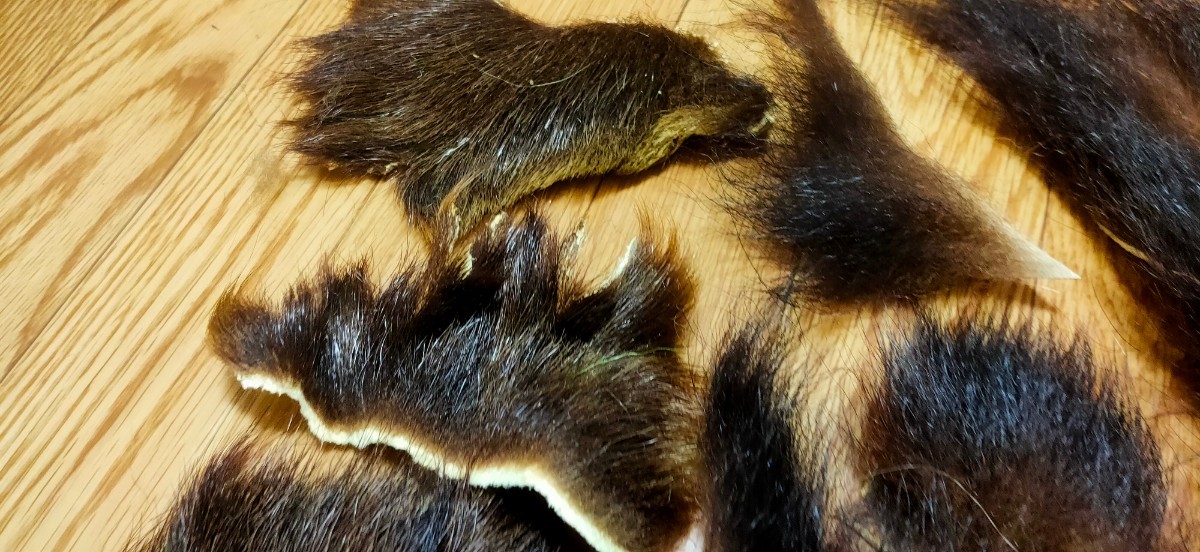 ●フライマテリアル●ヒグマの毛皮 端切れ（A24） 羆 熊 毛皮 / DIY　ハンドクラフト レザークラフト 毛鉤 毛針 フライ_画像8
