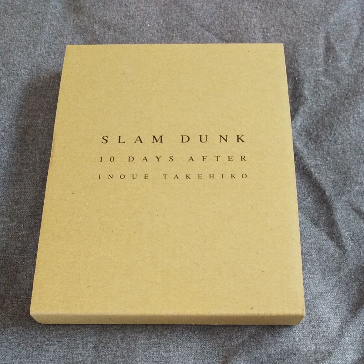 SLAM DUNK 10 DAYS AFTER 井上雄彦 スラムダンク DVD