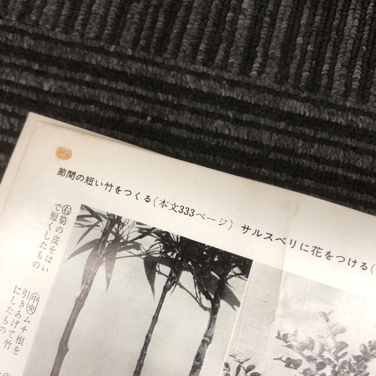 N[H5] бонсай. все . ветка ./ работа сельское хозяйство книги Showa 48 год выпуск 1973 год бонсай садоводство растение в горшке retro садовое дерево сад 