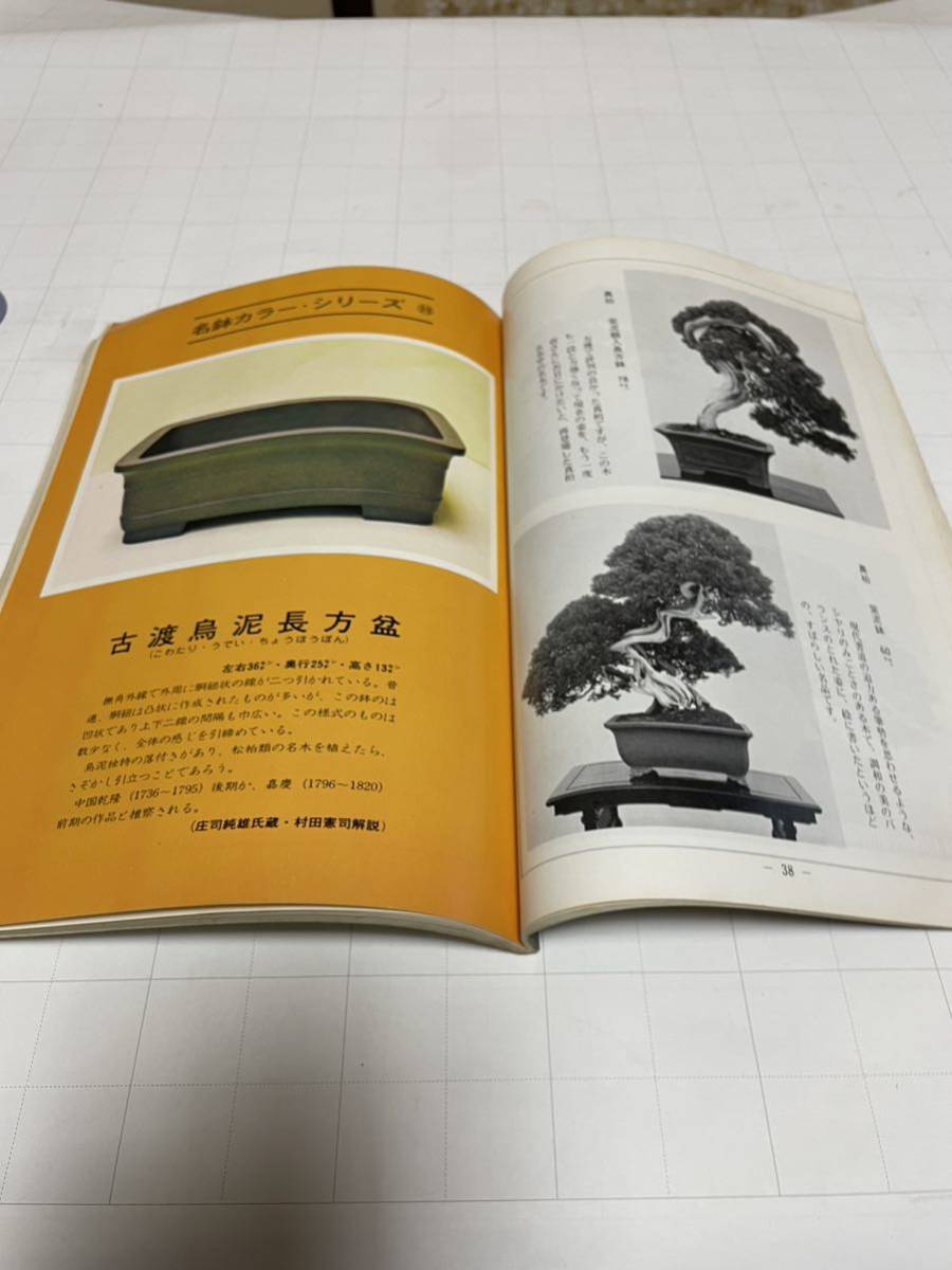  bonsai world new plan publish department . stone company 1974 year ~1994 year 57 pcs. [16]