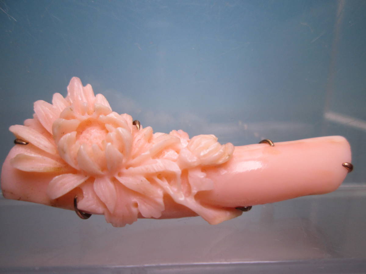 ☆アンティーク・K9 本珊瑚 ピンク珊瑚 菊花彫刻の帯留め 9,4g