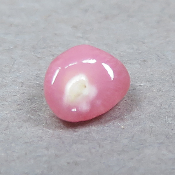 《tiny》コンクパール(conch pearl) ルース(0.12ct)_画像4