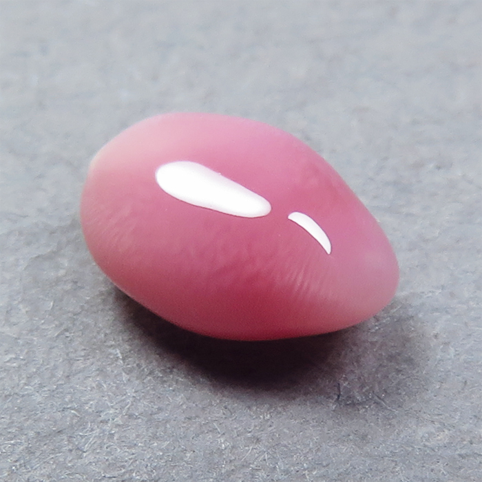 コンクパール(conch pearl) ルース(0.47ct)_画像1