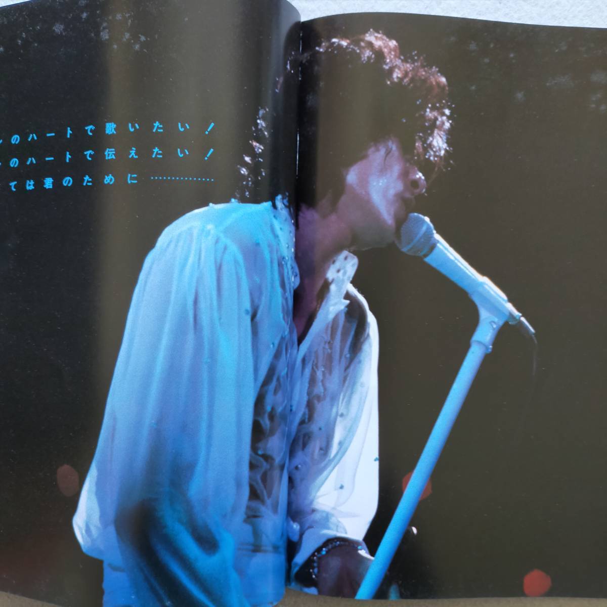 送料無料/即決】西城秀樹 写真集 ベスト・ヒット31曲の譜面付 送料無料/即決】西城秀樹 写真集 ベスト・ヒット31曲の譜面付
