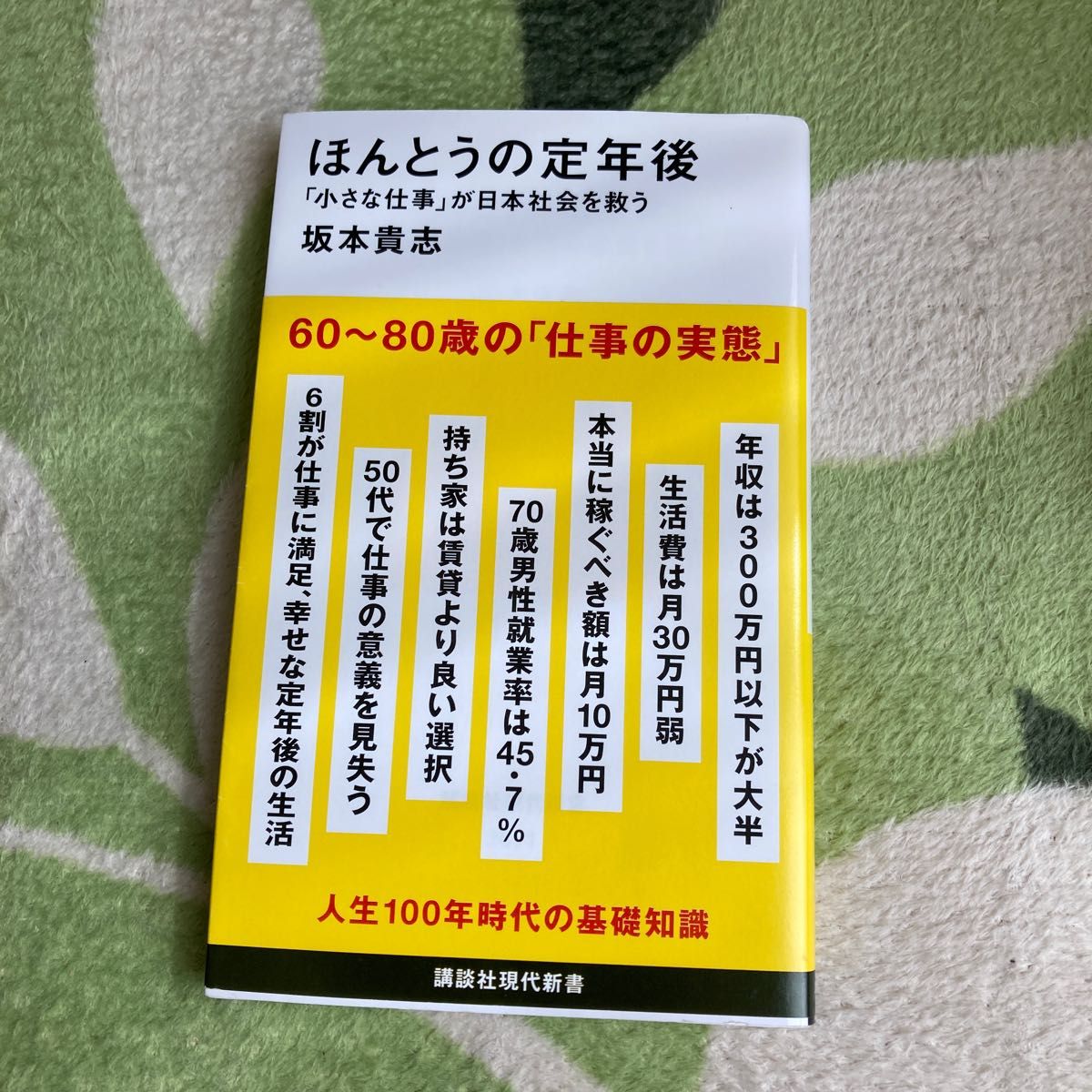 ほんとうの定年後 「小さな仕事」が日本社会を救う (講談社現代新書