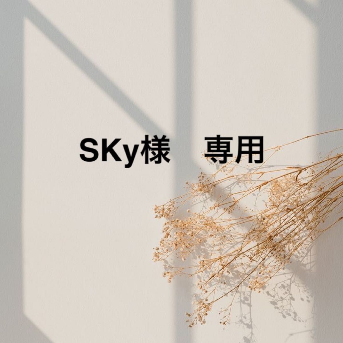 SKy様 専用｜Yahoo!フリマ（旧PayPayフリマ）